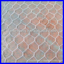 Gabion net (fábrica grande y exportador)